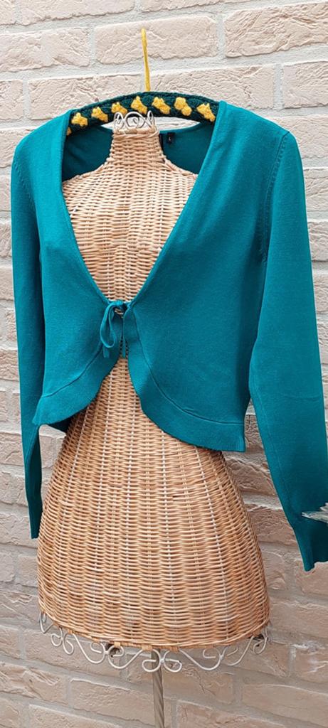 Kort vestje maat l green ice, Kleding | Dames, Truien en Vesten, Overige kleuren, Maat 42/44 (L), Ophalen of Verzenden, Zo goed als nieuw
