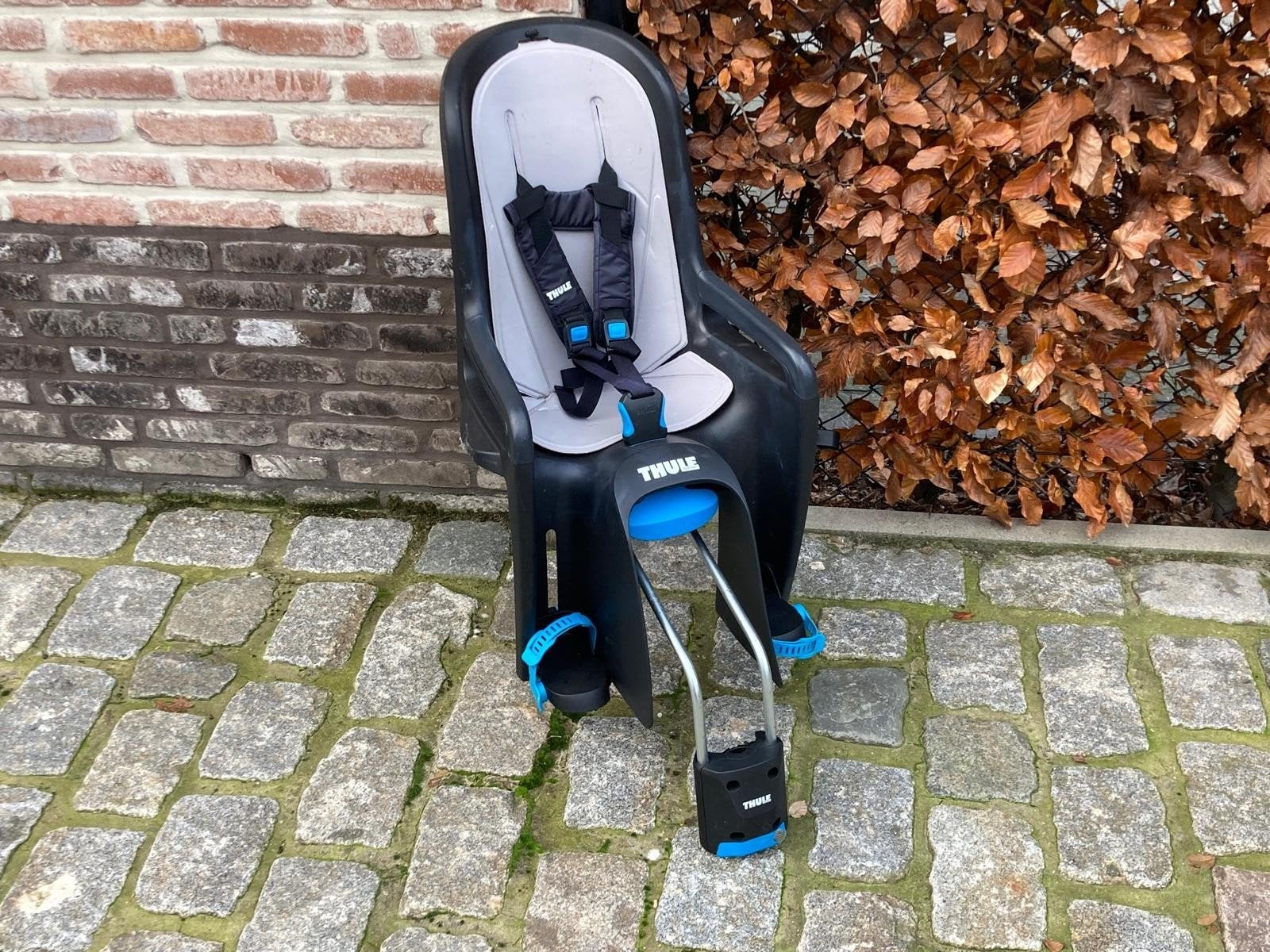 Fietsstoeltje, Ophalen, Achterzitje, Thule, Gebruikt