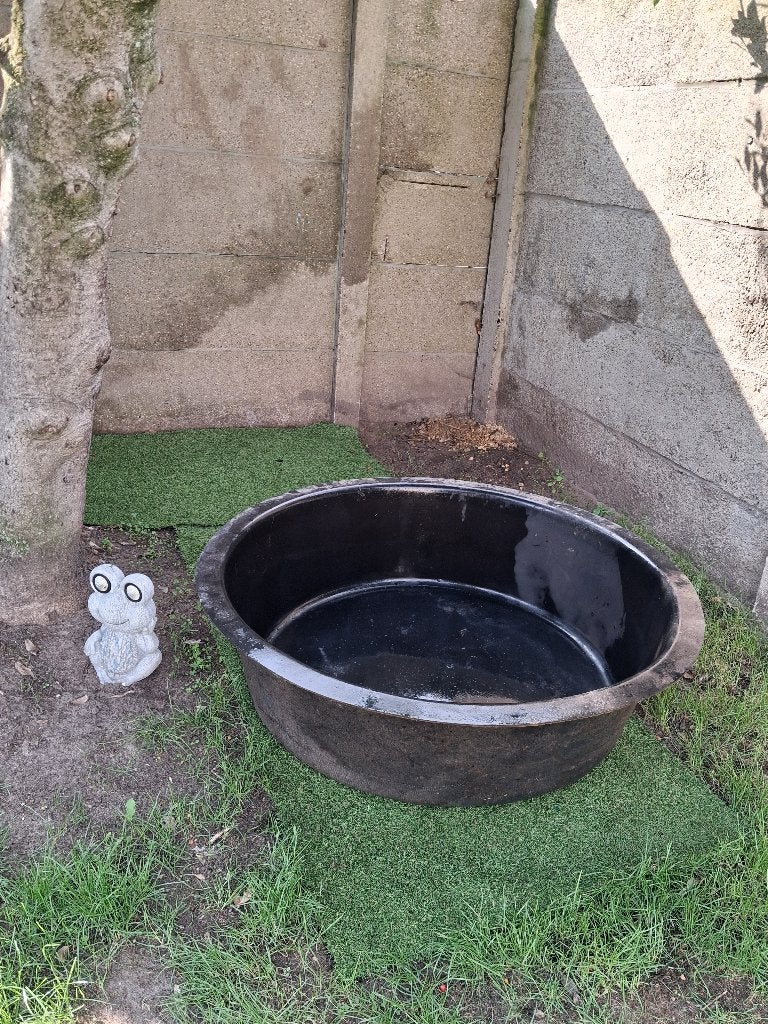 Vijverbad, Tuin en Terras, Ophalen