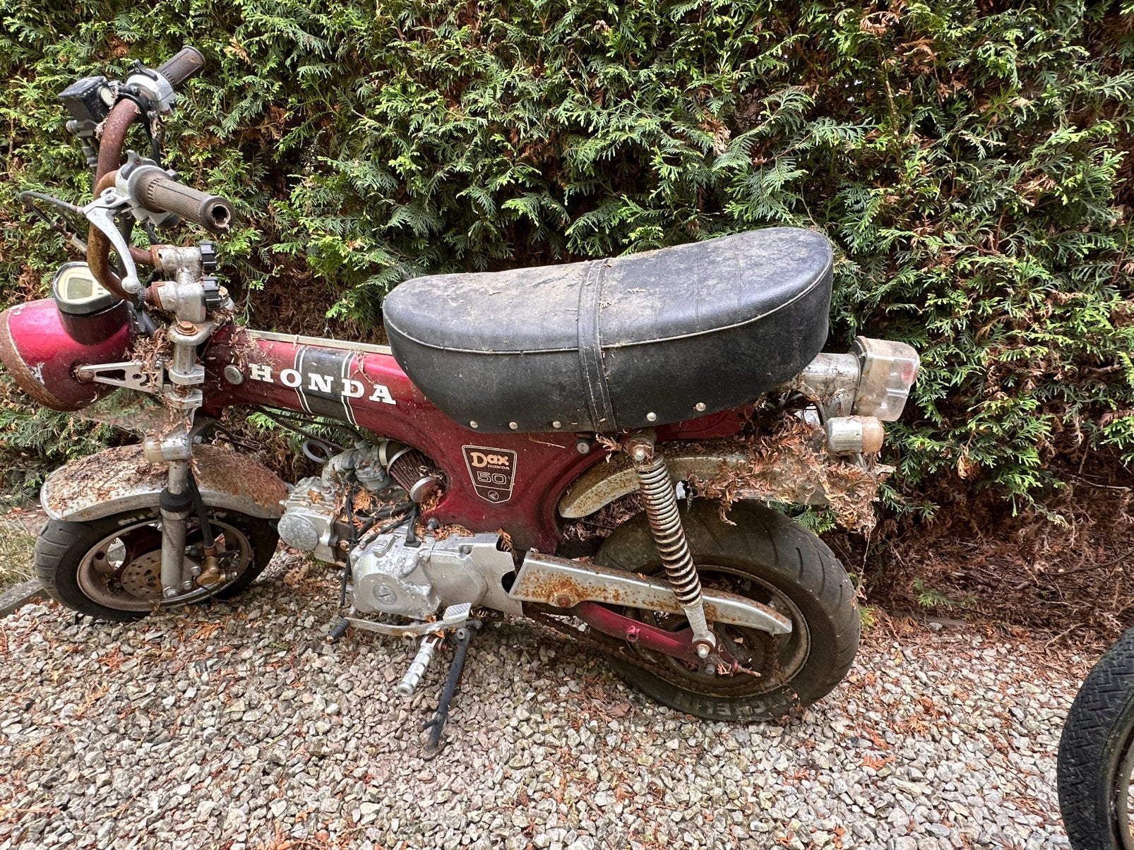 Zinghua [Honda Dax] barnfeind, Fietsen en Brommers, Brommers | Honda, Ophalen, Gebruikt, Overige modellen, Klasse B (45 km/u)