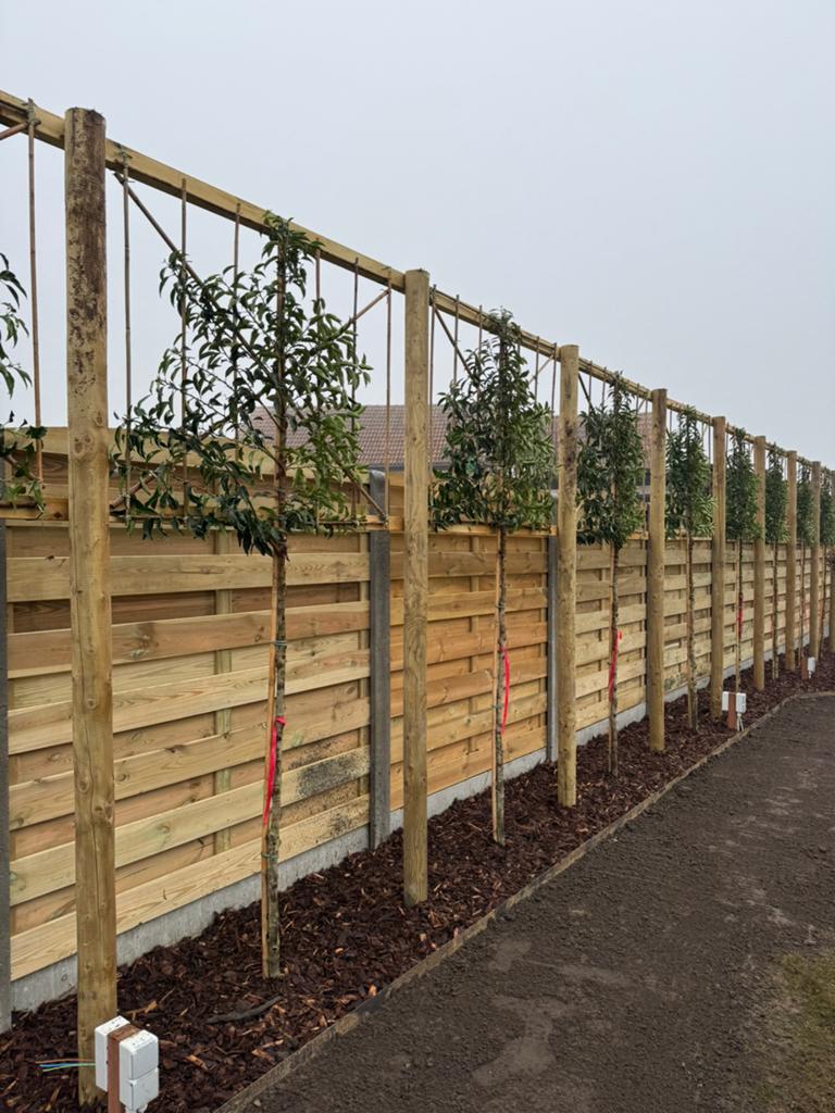 Hout-beton schutting, Tuin en Terras, Schuttingen, Ophalen, 1 tot 2 meter, 6 meter of meer, Nieuw