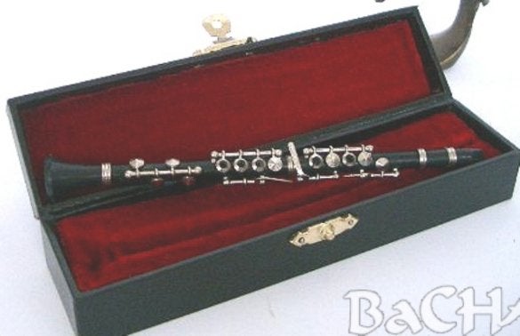 Miniatuur klarinet, zwart in koffer, Muziek en Instrumenten, Niet ingevuld, Niet ingevuld, Nieuw, Ophalen of Verzenden