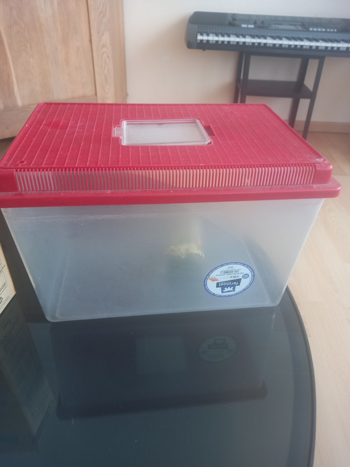 plastic aquarium, Ophalen