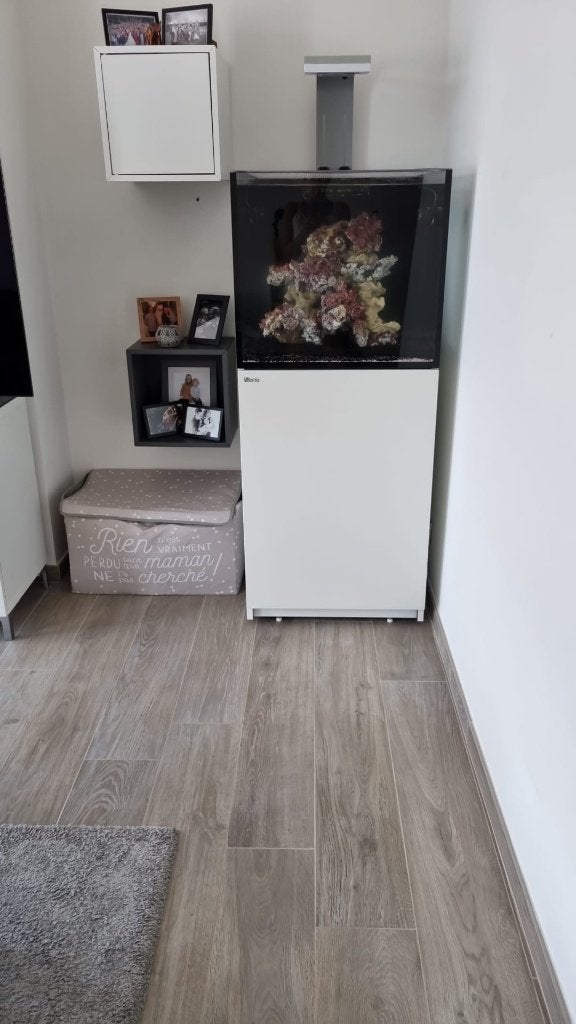 aquarium récifal, Ophalen, Red Sea, Gebruikt, Leeg aquarium