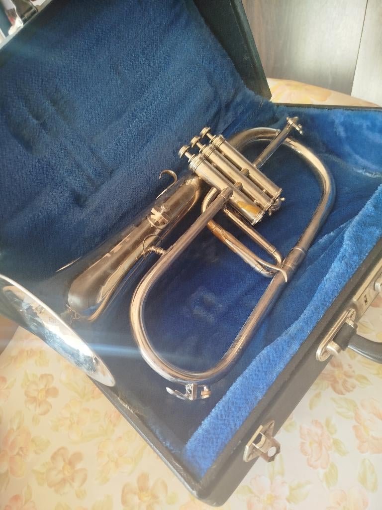 Bugel Mahillon, Muziek en Instrumenten, Ophalen, Gebruikt, Koperblazer, Met koffer of draagtas