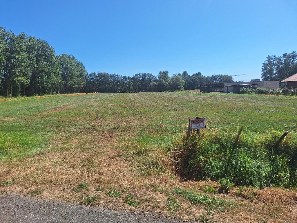 landbouw, Immo, Gronden en Bouwgronden, Oostmalle, 1500 m² of meer