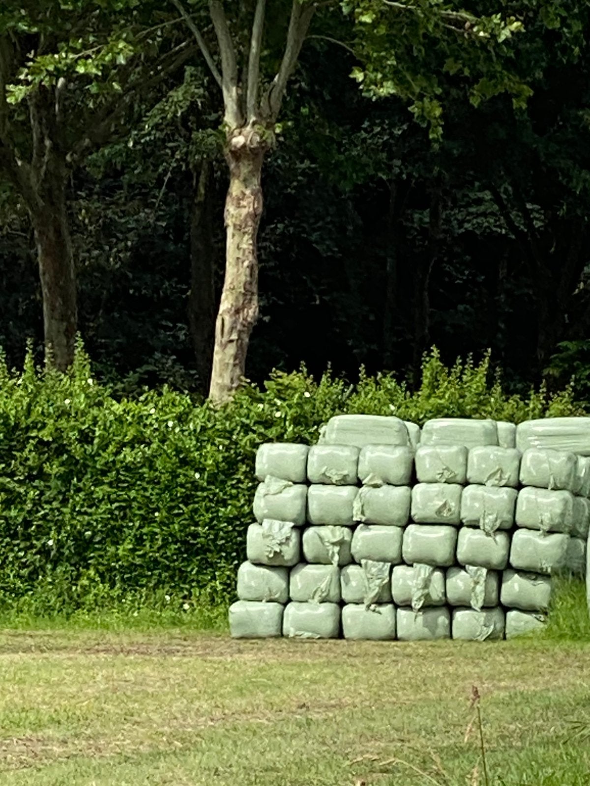 Voordroog, Dieren en Toebehoren, Ophalen