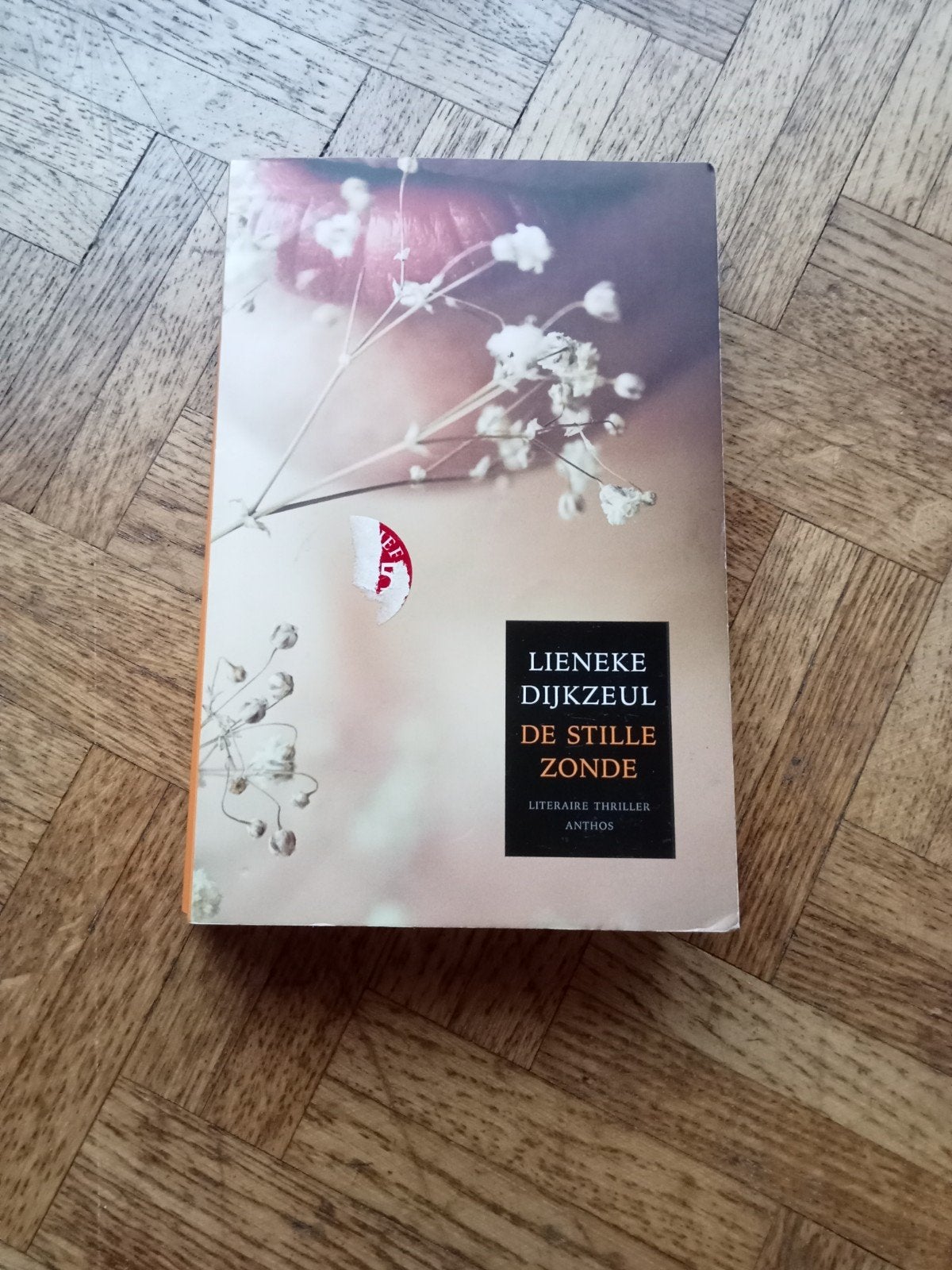 Lieneke Dijkzeul: De stille zonde, Enlèvement ou Envoi, Utilisé