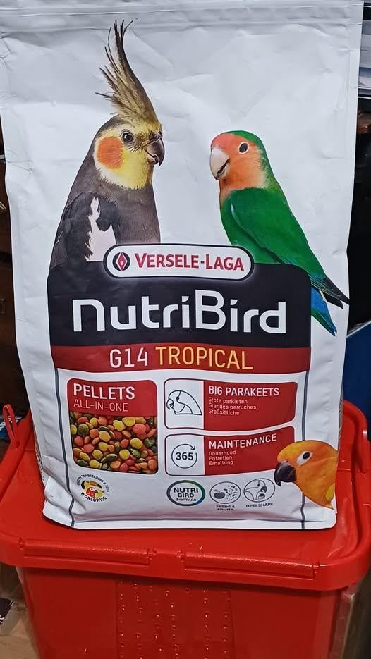 versele -laga, Enlèvement