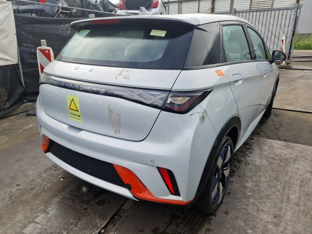 BATTERIE HAUT VOLTAGE BYD Dolphin (01-2021/-), Utilisé, Autres marques automobiles