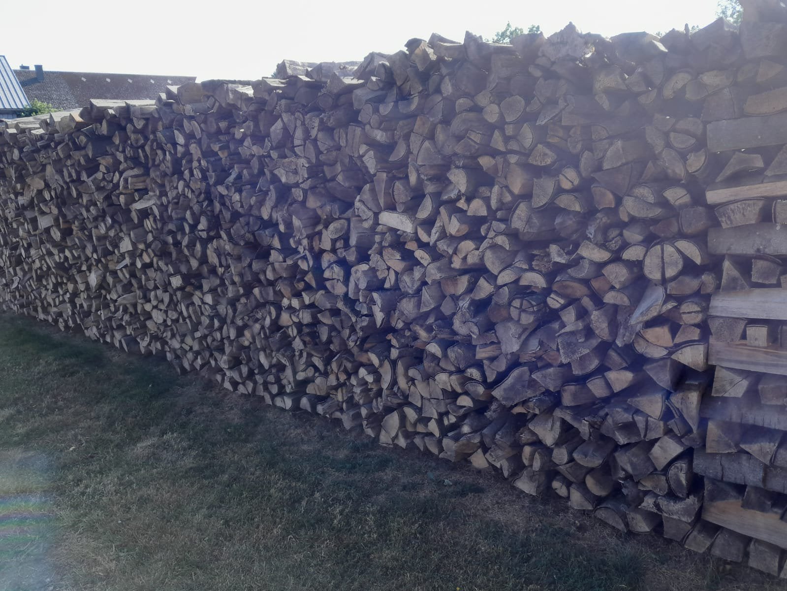 Bois de chauffage en hêtre – 110 €, Tuin en Terras, Brandhout, 6 m³ of meer, Ophalen, Beukenhout, Blokken