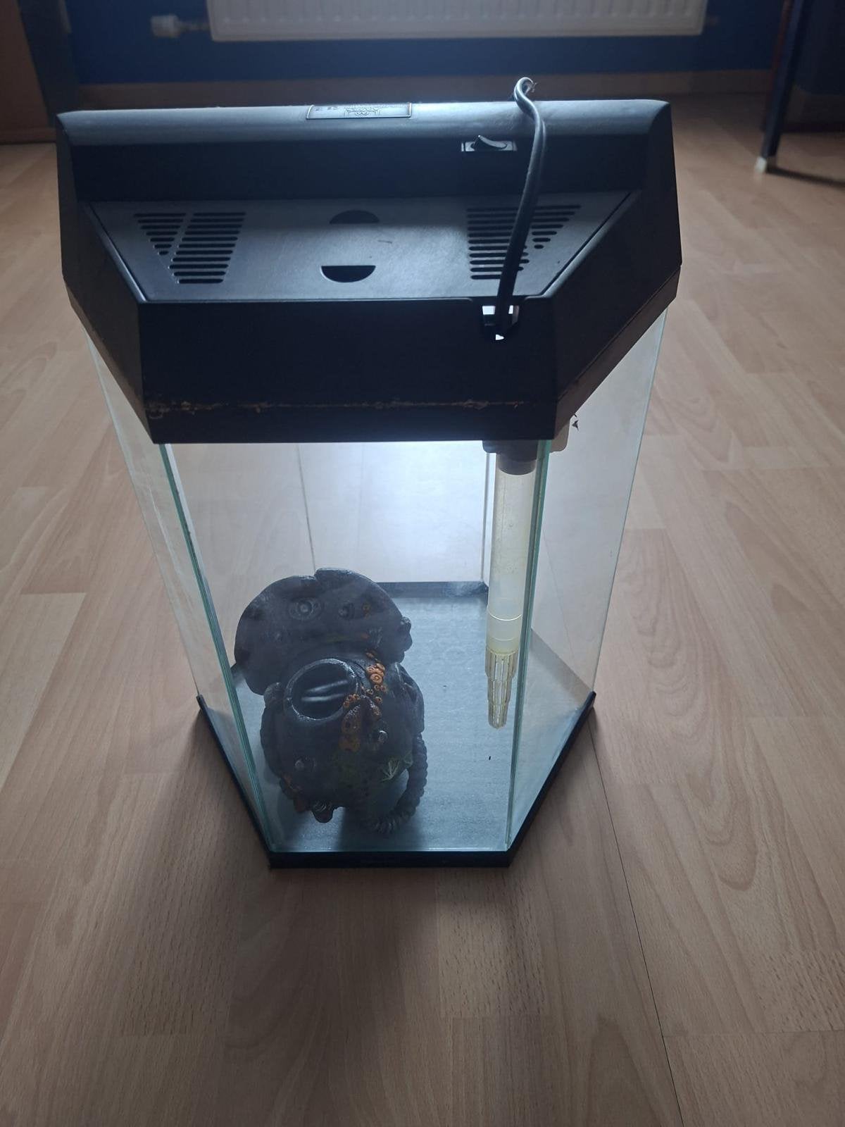 Aquarium, Dieren en Toebehoren, Ophalen, Zo goed als nieuw