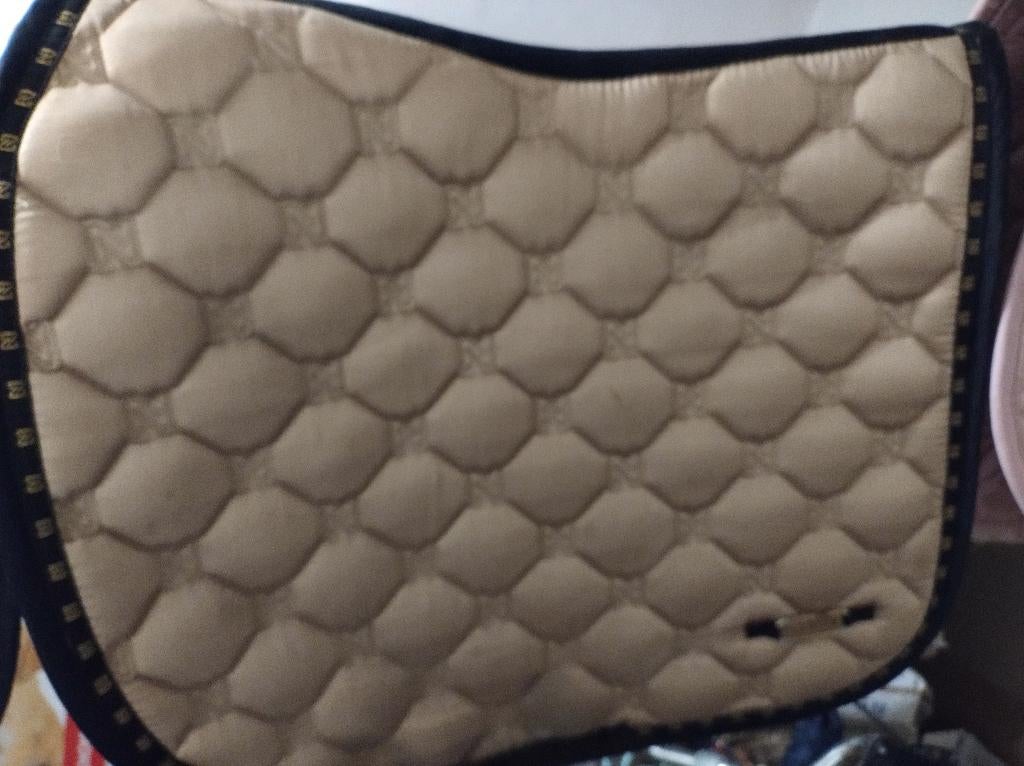 Zadeldoek, Dieren en Toebehoren, Ophalen, Gebruikt, Dressuur
