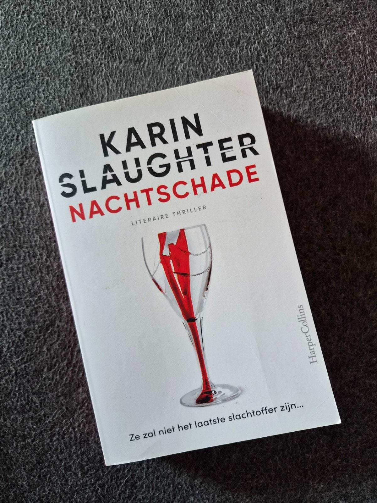 Karin Slaughter - Nachtschade, Boeken, Thrillers, Ophalen