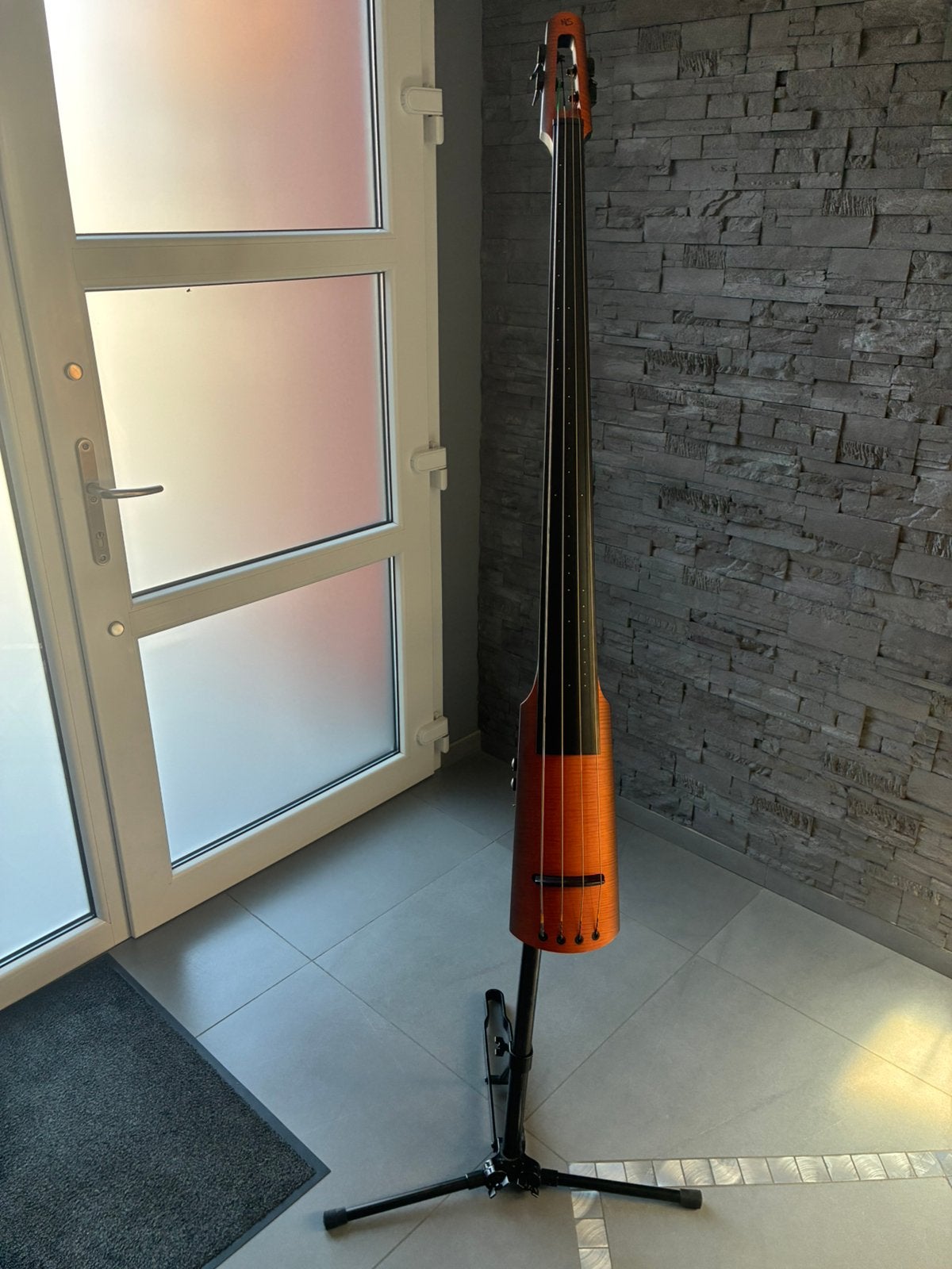 Contrebasse Ns, Musique & Instruments, Instruments à corde | Guitares | Basses, Enlèvement, Comme neuf