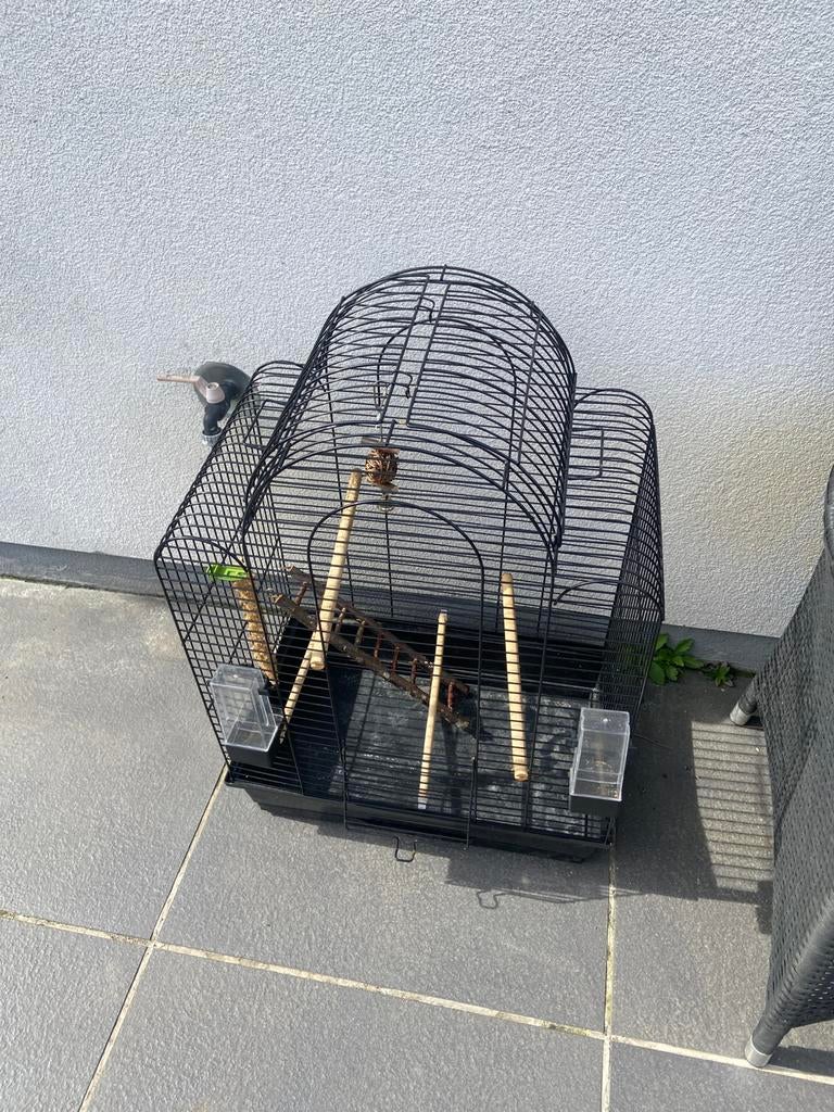 Cage oiseaux, Animaux & Accessoires, Oiseaux | Cages & Volières, Enlèvement, Comme neuf, Cage à oiseaux