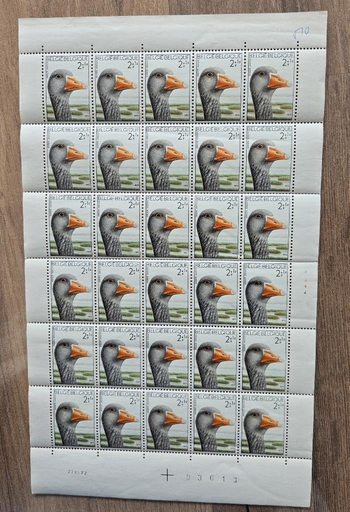 TIMBRES BELGES 1972, Envoi