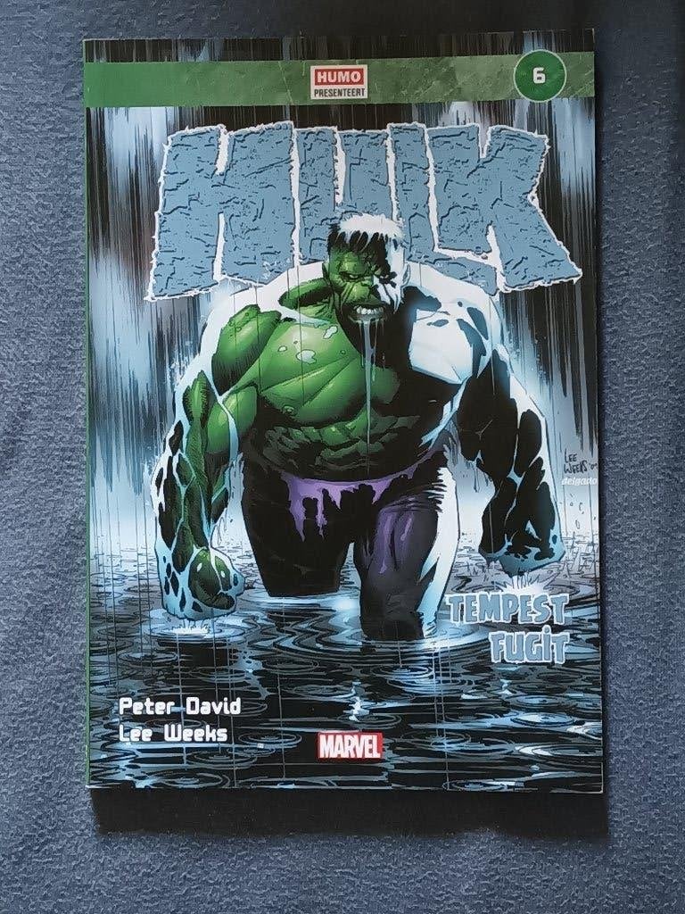 Hulk 6: Tempes fugit, Eén stripboek, Ophalen, Zo goed als nieuw