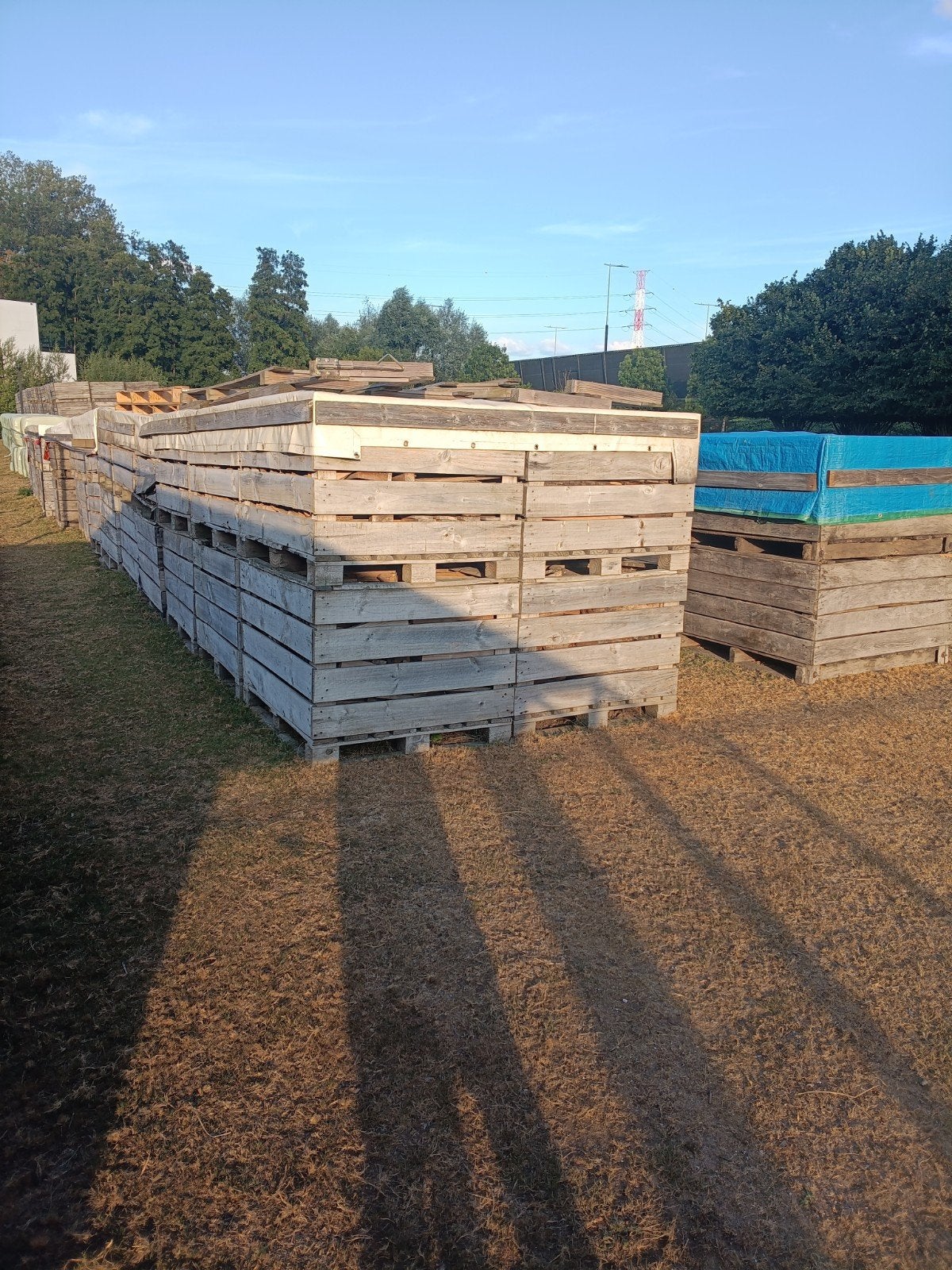 lot brandhout, Tuin en Terras, 6 m³ of meer, Ophalen