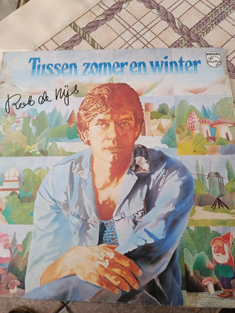 Rob de Nijs-tussen zomer en winter, LP, Gebruikt, Ophalen of Verzenden, Pop