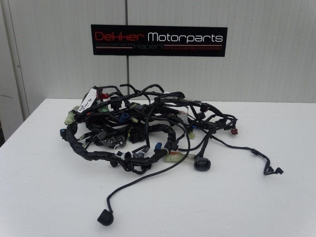 Complete Kabelboom Honda CB1000R CB 1000 R ABS 2008-2015, -, Utilisé, -, -