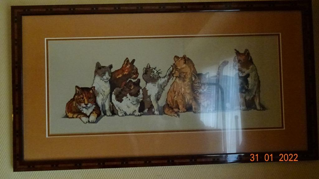 Magnifique Tableau chat, Enlèvement