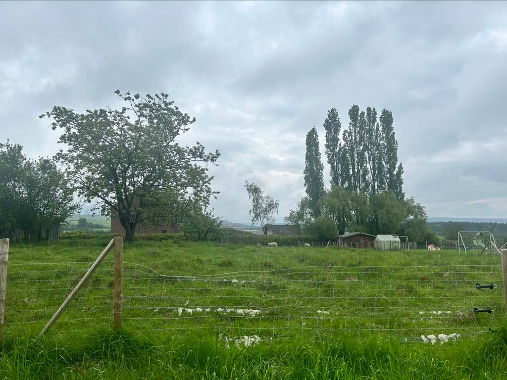 Bouwgrond Izier (Durbuy) 13are11 zuidgericht, Immo, Izier, Verkoop zonder makelaar, 1000 tot 1500 m²