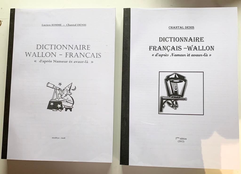 Dictionnaires wallon-français « d’après Nameur èt avaur-là », Enlèvement, Utilisé, Autres éditeurs, Français