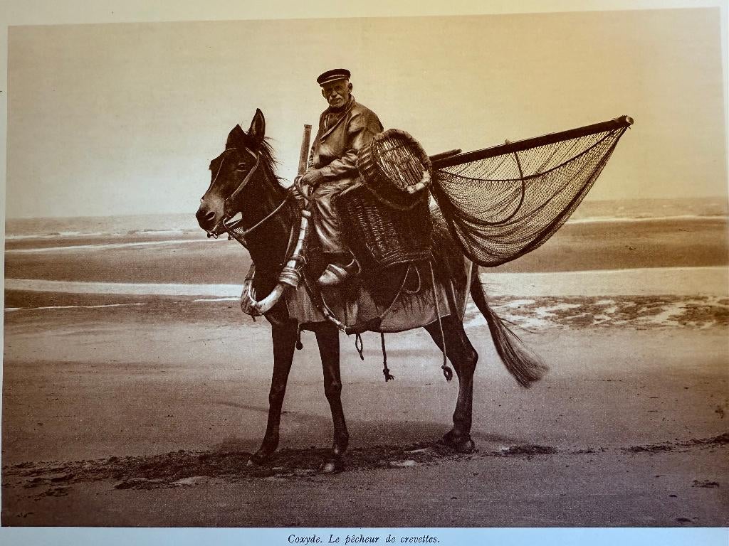 Coxyde. Le pêcheur de crevettes, photo 23 X 17 cm à encadrer, Envoi