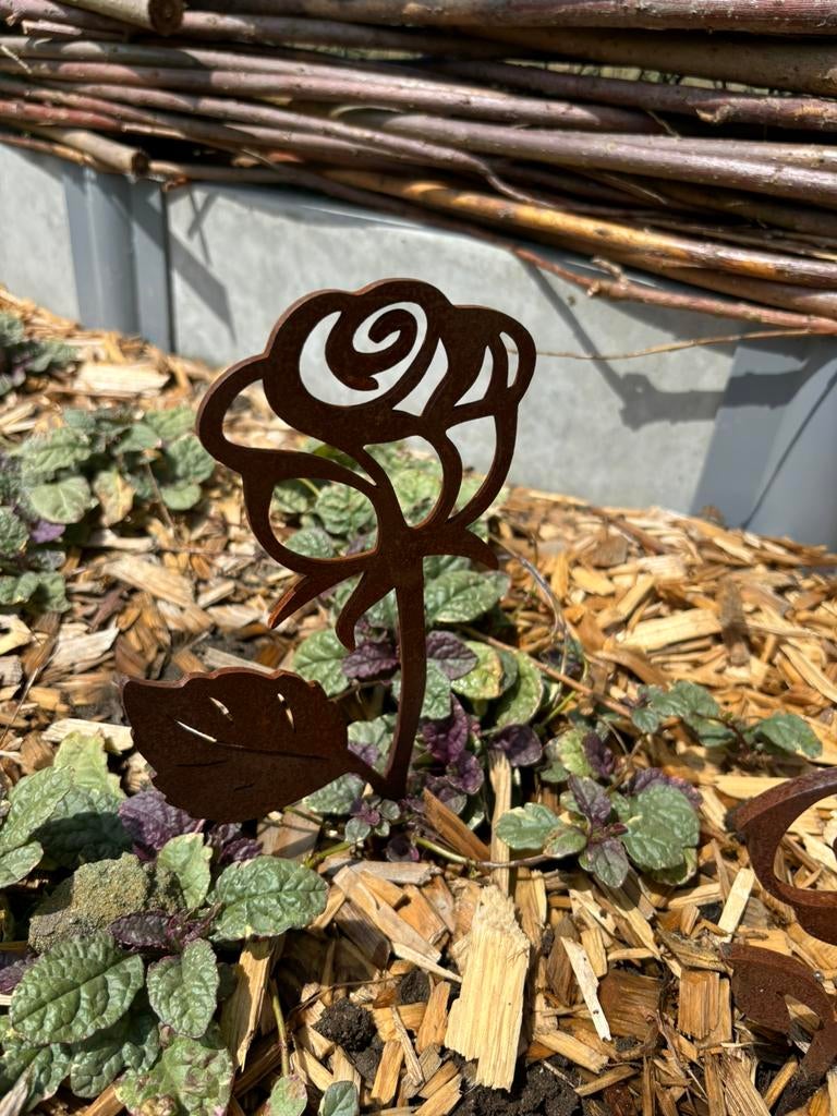 Cortenstalen bloemen. Rozen, Ophalen, Nieuw