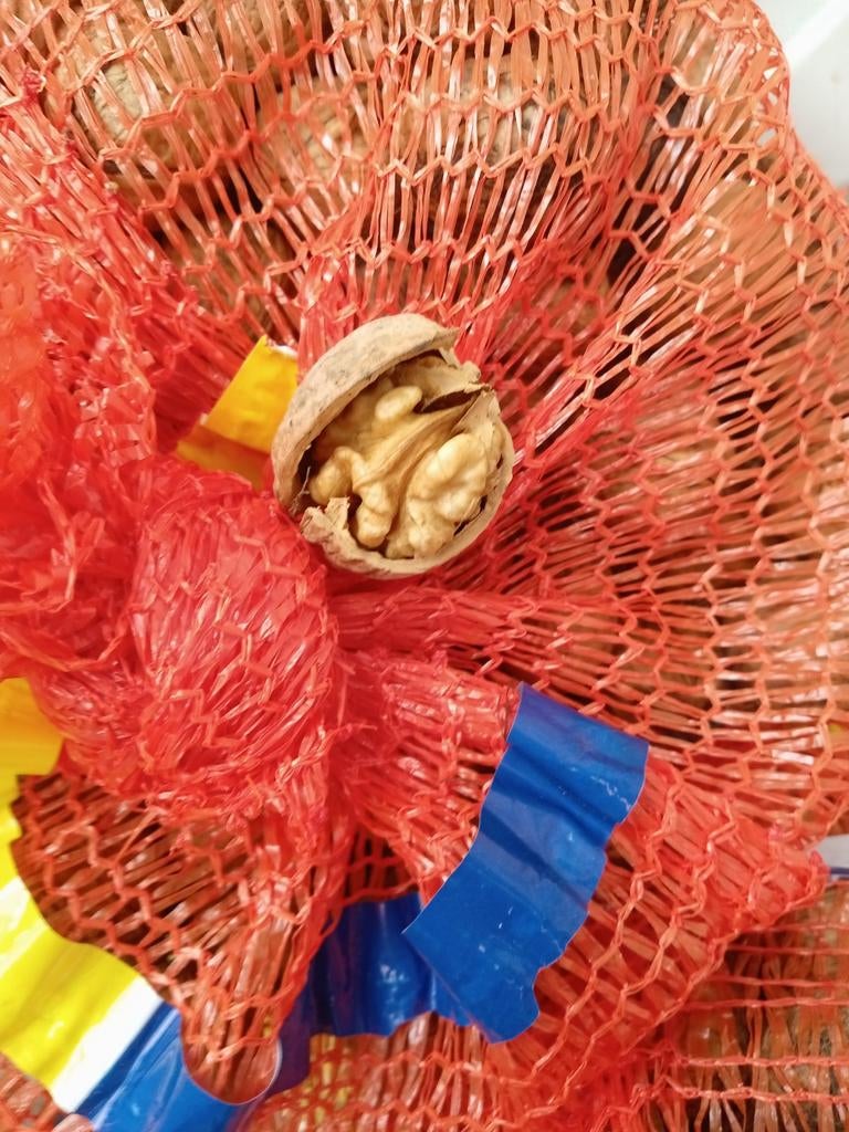 Noix fraîche récolte 2025, Enlèvement