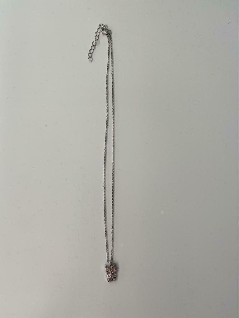 Zilverkleurige ketting uil, Handtassen en Accessoires, Kettingen, Ophalen, Zo goed als nieuw
