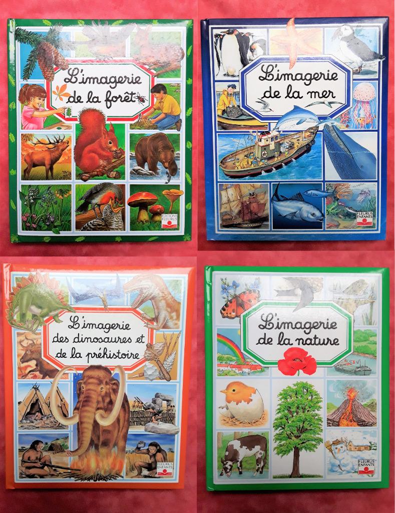 4 livres imagerie - Mer, forêt, Dino & Préhistoire, Nature, Enlèvement, Utilisé, Garçon ou Fille, Non-fiction