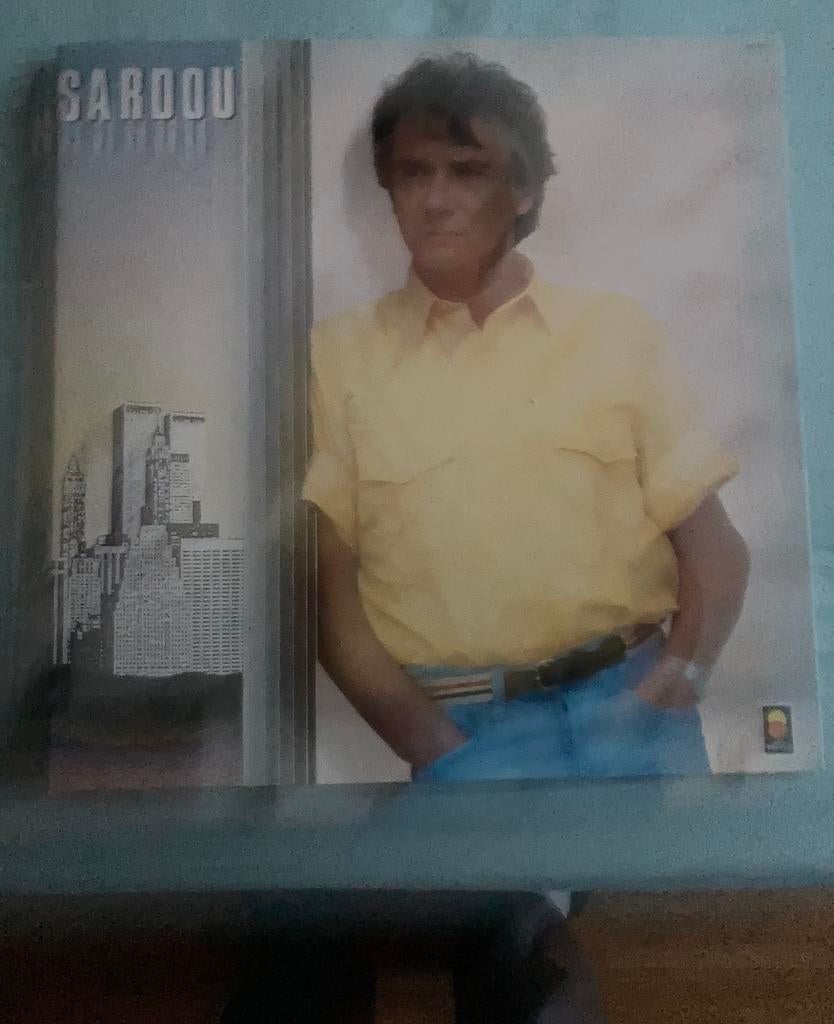 LP en 100 langues de Michel Sardou, CD & DVD, Enlèvement