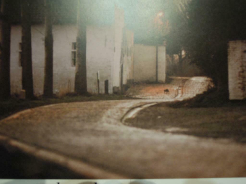 prent foto Velzeke - Zottegem Paddenstraat voor 1998, 1980 tot heden, Nieuw, Ophalen of Verzenden, Gebouw