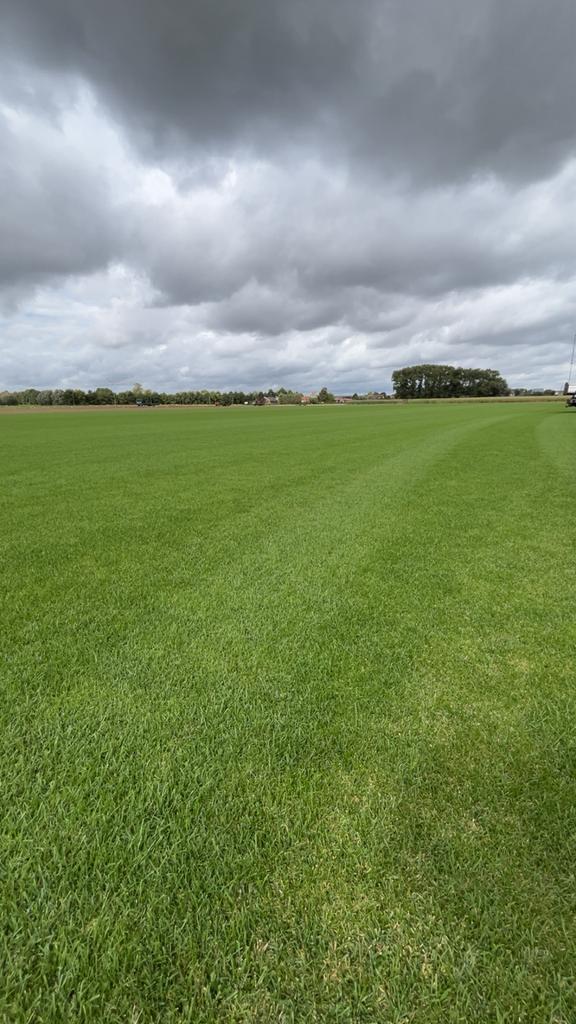 Gazon zaaien/Weide onderhoud/Graafwerken, Tuin en Terras, Ophalen, Gras