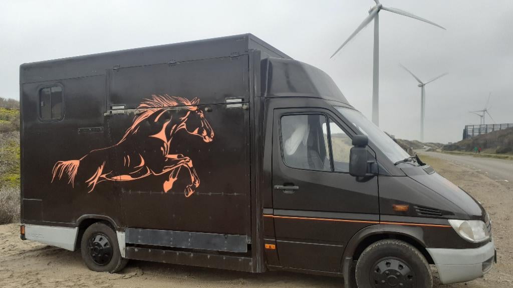 Mercedes benz paardenvrachtwagen 2 paards b rijbewijs, Ophalen, Gebruikt, Polyester, Overige typen