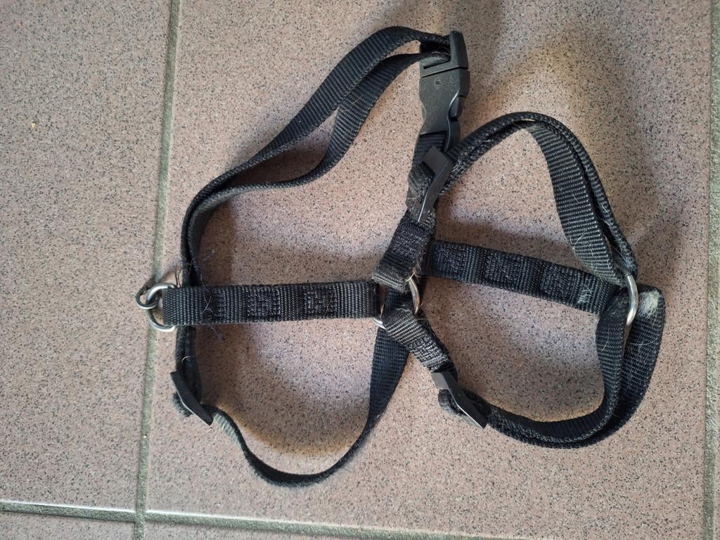 Harnas kleine hond, Dieren en Toebehoren, Ophalen of Verzenden, Gebruikt, Hondenriem
