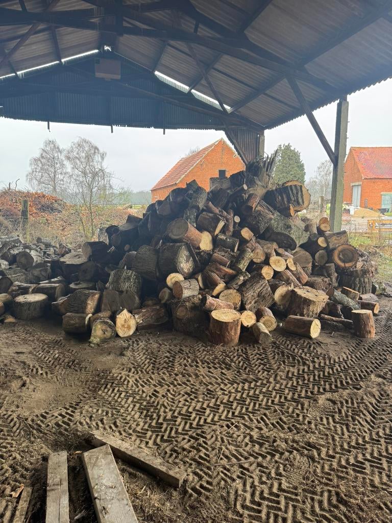 Brandhout, Tuin en Terras, Brandhout, 6 m³ of meer, Ophalen, Eikenhout, Blokken