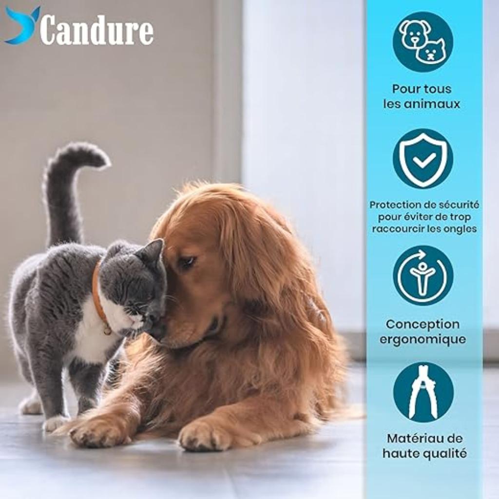 Coupe-ongles Candure pour chiens et chats, Neuf, -, -, Candure