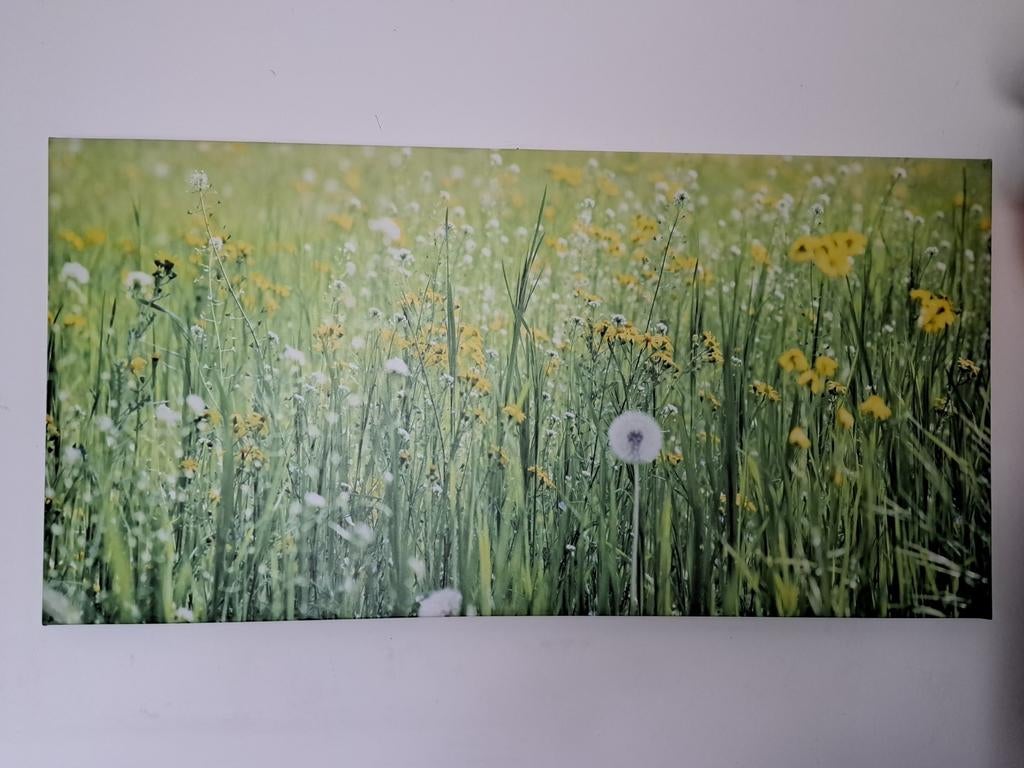 Imprimé sur toile, Enlèvement, Imprimé