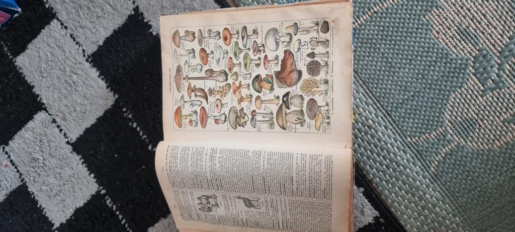 Oude larouse encyclopedie van het jaar 1937, Boeken, Encyclopedieën, Ophalen