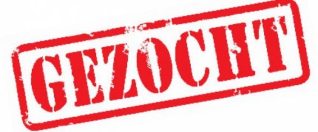 Gezocht: Quarter Horse merrie buckskin / dunskin, Dieren en Toebehoren, Merrie, Minder dan 160 cm, Westernpaard, Met stamboom