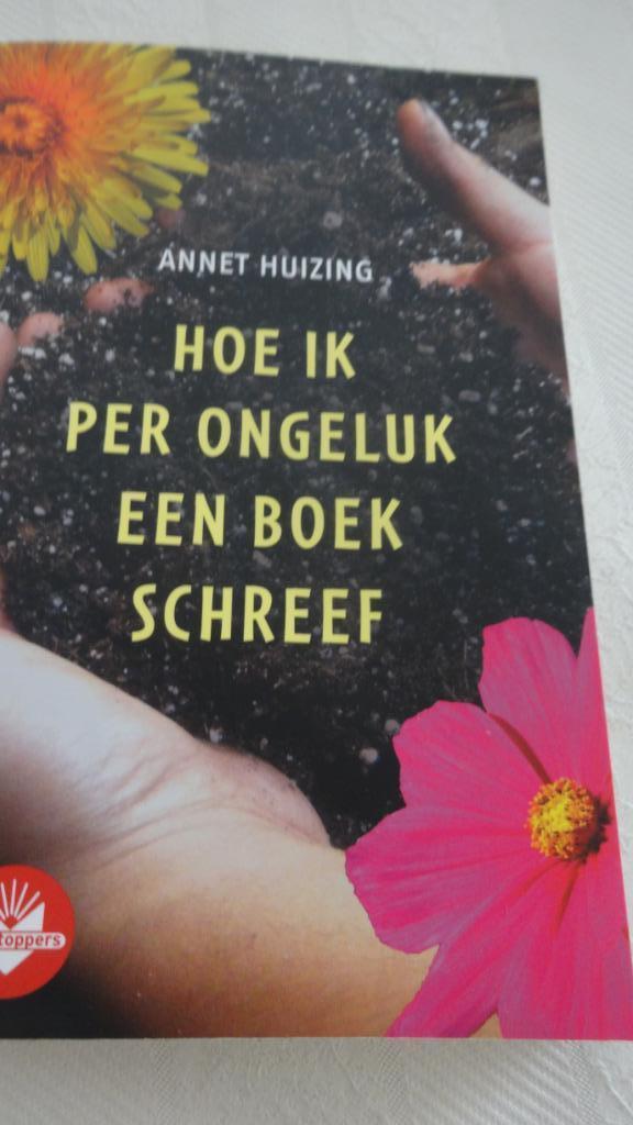 Boek: Hoe ik per ongeluk een boek schreef, Boeken, Ophalen of Verzenden, Zo goed als nieuw