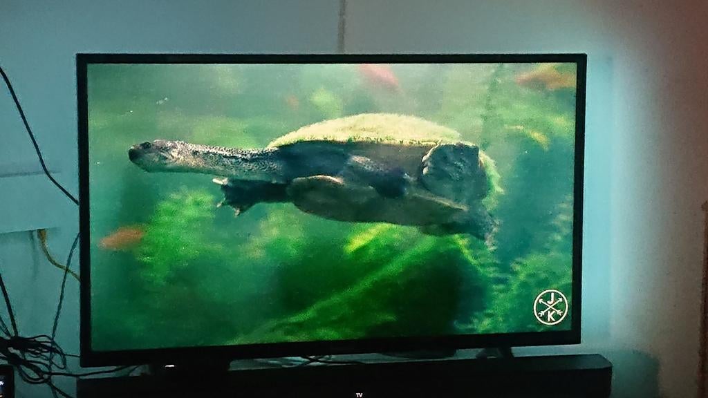 Tv edenwood Led. Smart tv, Ophalen of Verzenden, Zo goed als nieuw, LED, Smart TV