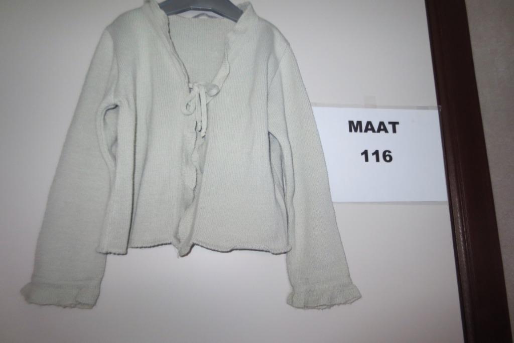 Gilet Hilde &Co 116 meisjes Foto 3639, Hilde&Co, Meisje, Trui of Vest, Ophalen of Verzenden