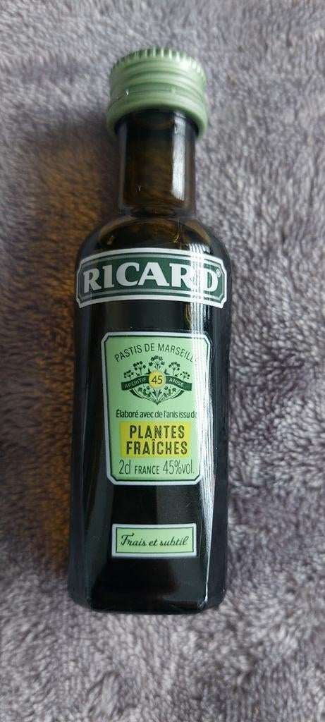 Mignonnette ricard plante fraiche, Enlèvement ou Envoi