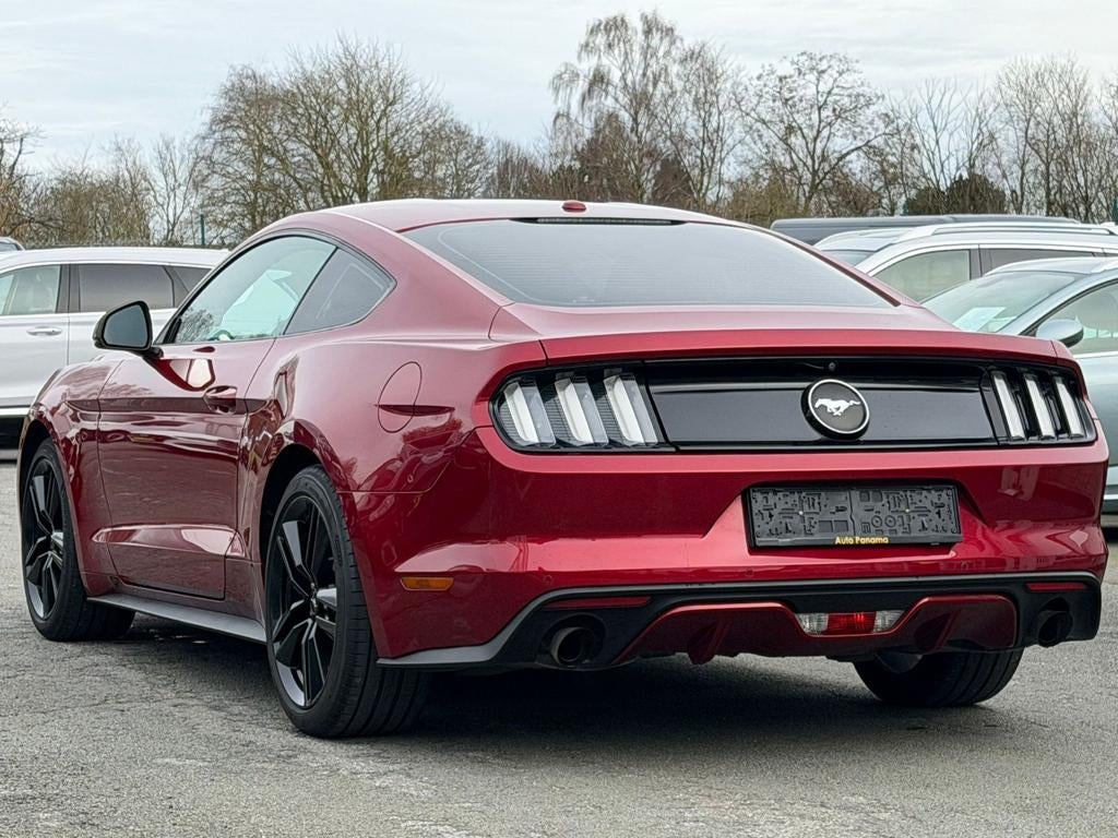 Ford Mustang 2.3 EcoBoost BOITE AUTO SIEGE DOUBLE TONT GPS, Autos, Achat, Euro 6, Entreprise, Carnet d'entretien