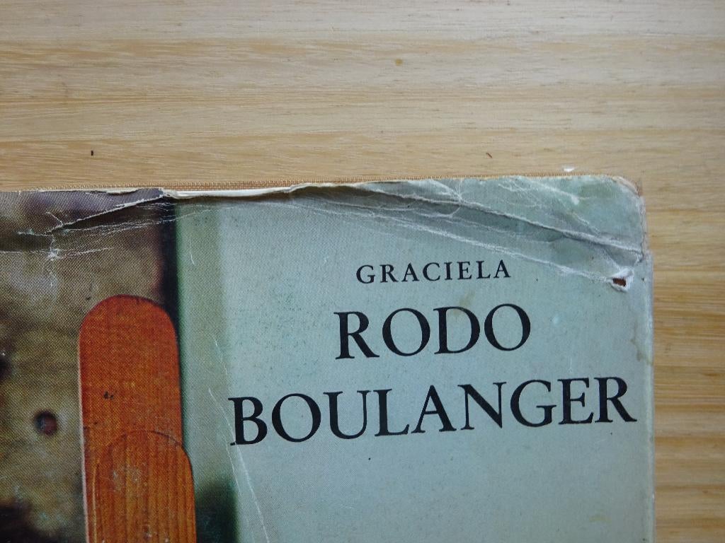 Graciela Rodo Boulanger 1973 monographie + 4 litho's, Ophalen of Verzenden, Gelezen, Schilder- en Tekenkunst