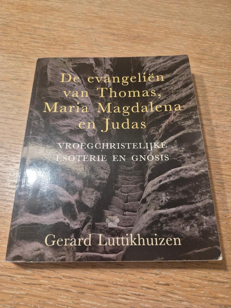 Boek De evangeliën van Thomas, Maria en Judas, Boeken, Achtergrond en Informatie, Gerard Luttikhuizen, Ophalen of Verzenden, Zo goed als nieuw